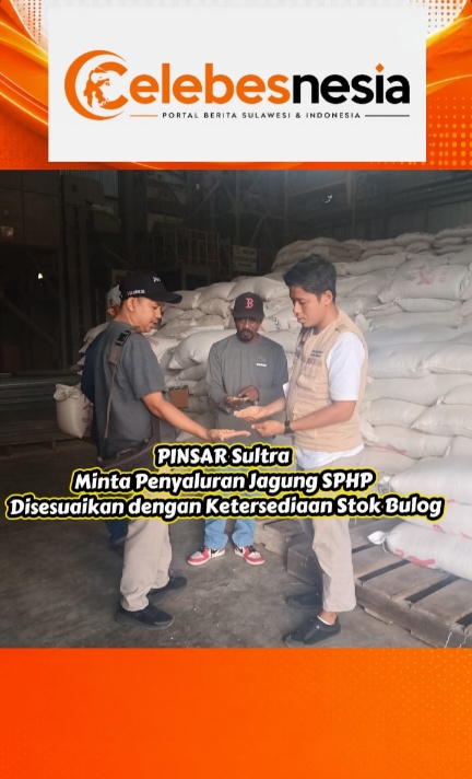 PINSAR Sultra Minta Penyaluran Jagung SPHP Disesuaikan dengan Ketersediaan Stok Bulog